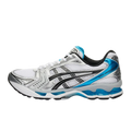 Asics kayano 14