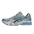 Asics kayano 14