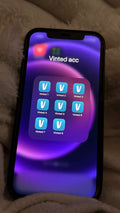 Multi vinted accounts