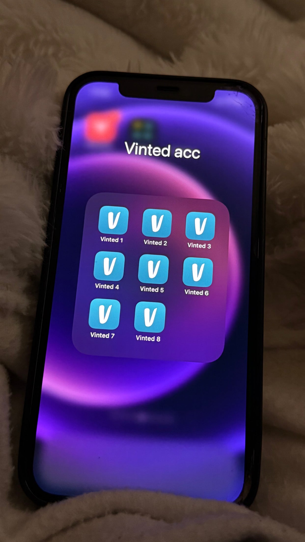 Multi vinted accounts